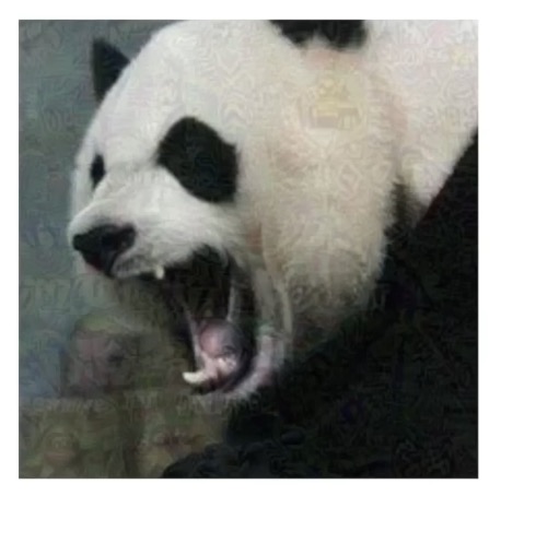 An image of a panda with an adversarial noise pattern.